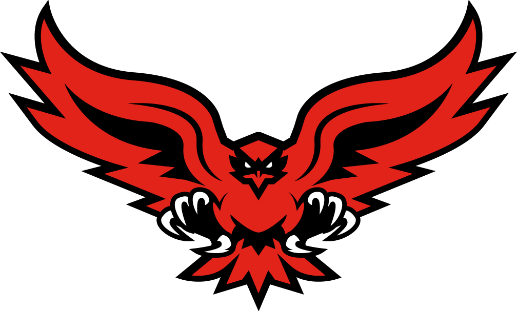 Hartford Hawks 2015-Pres Alternate Logo v2 t shirts iron on transfers